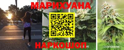 шишки Отрадный