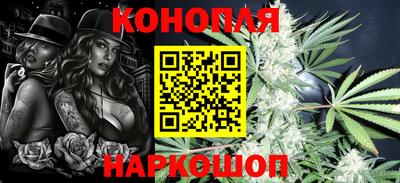 шишки Отрадный