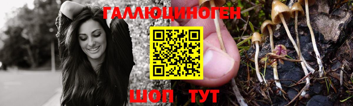 Норильск  Галлюциногенные грибы MAGIC MUSHROOMS  Вход с VPN 