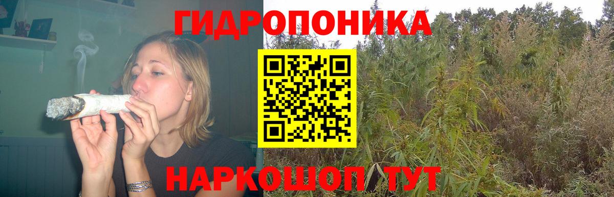 Конопля OG Kush Норильск